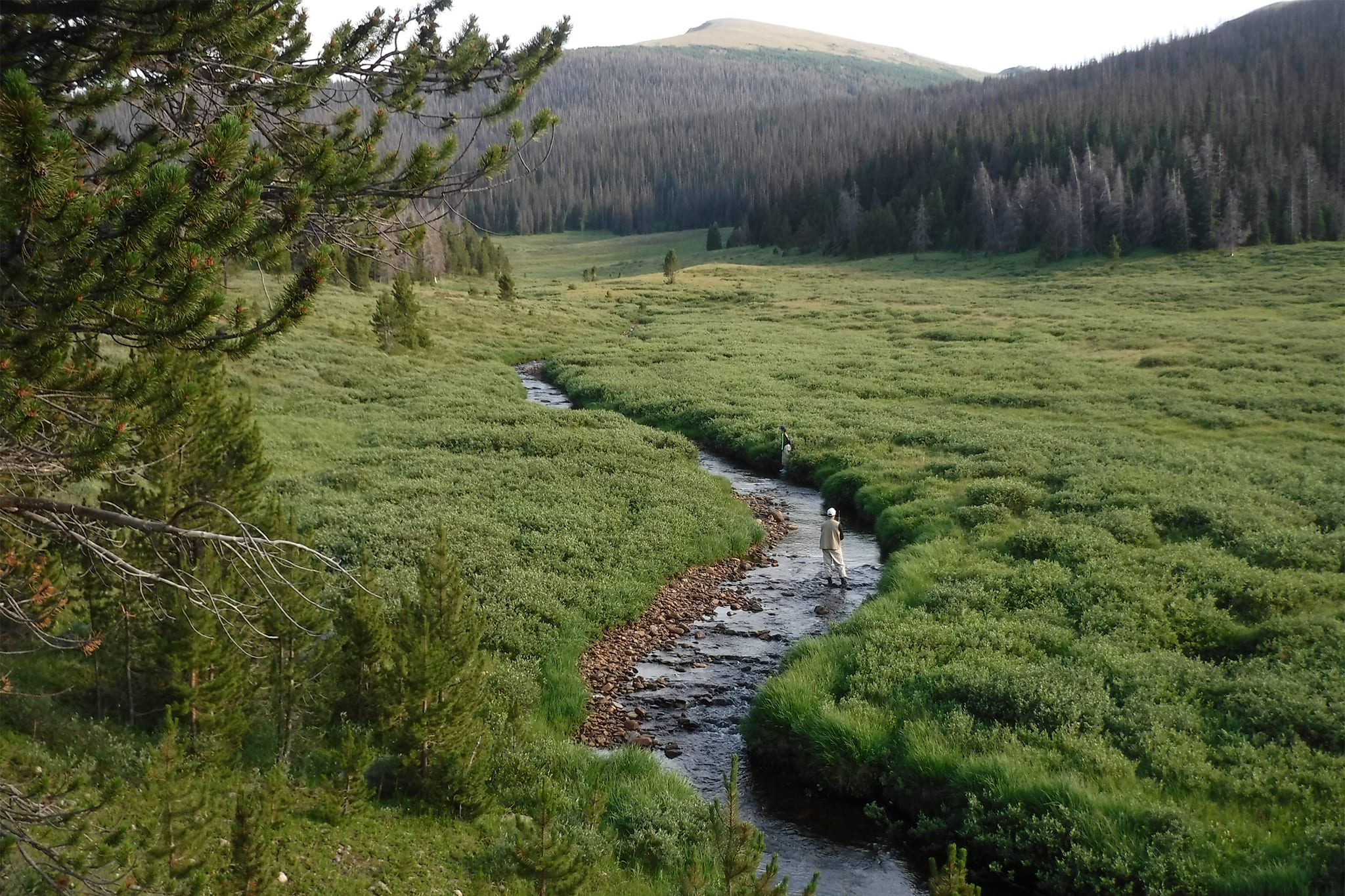 Rocky Mountain Backcountry Fly Fishing Adventure 1 Day United
